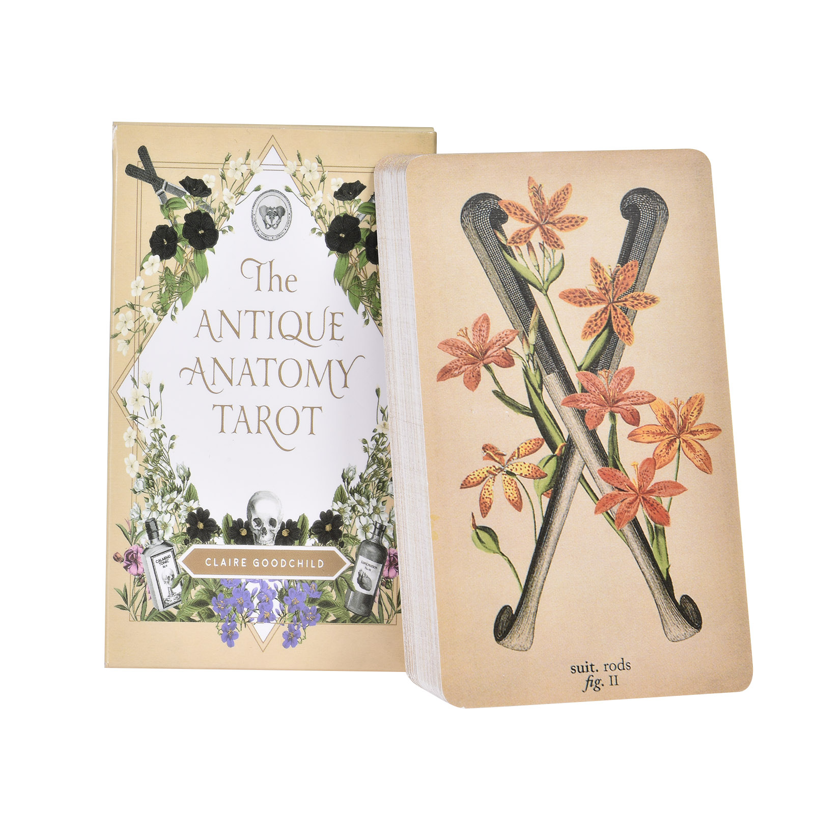 Tarot Deck With Guidebook - 앤티크 해부학 타로 카드 영어 버전
