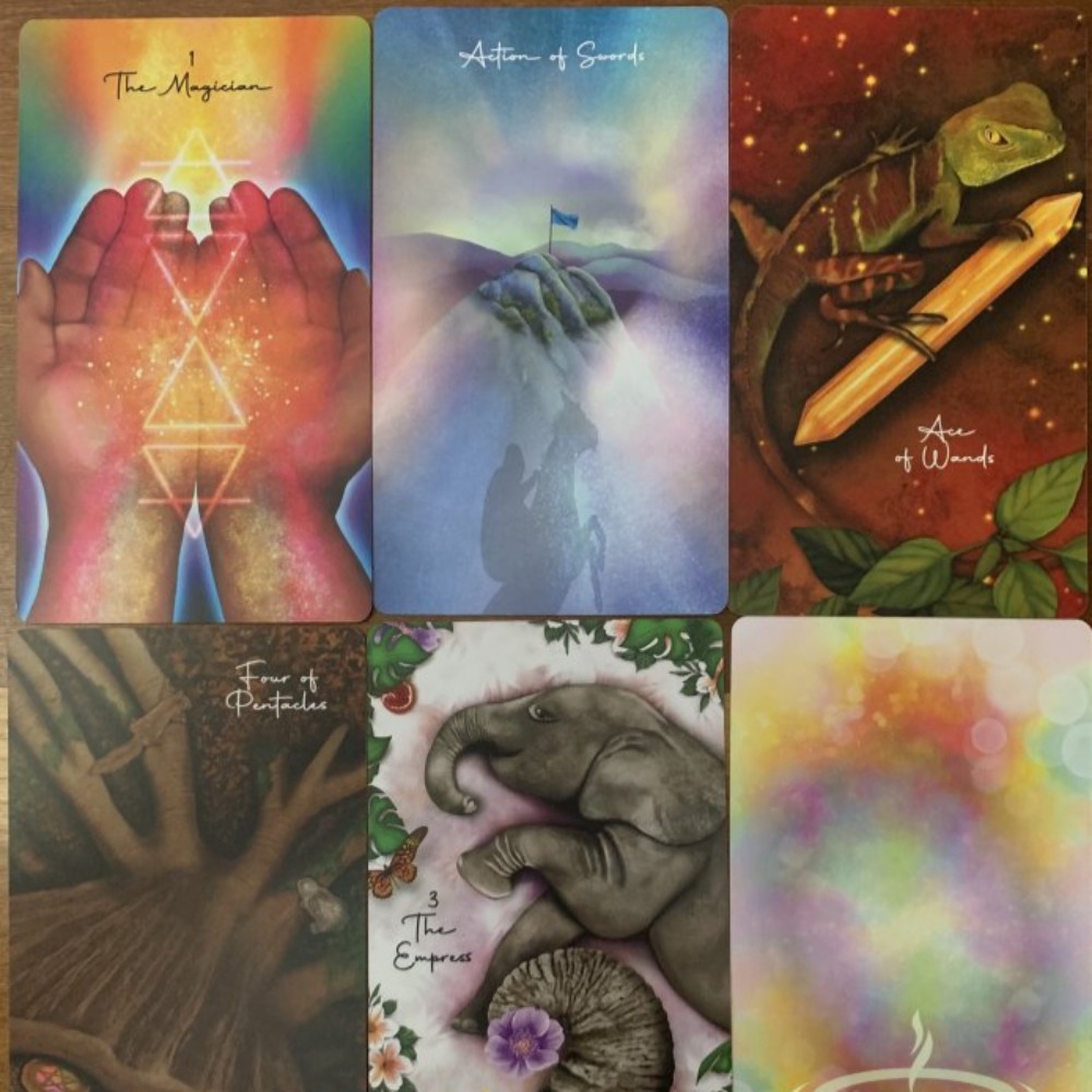 Oneness의 타로 10.3*6 Cm 78 Pcs 카 - Tarot Deck With Guidebook 리뷰 및 가격