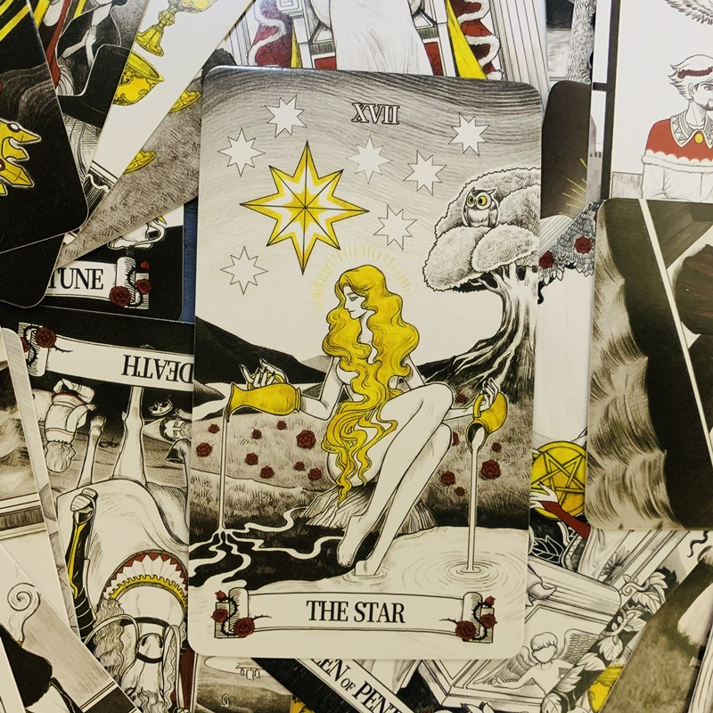 시크릿 미러 타로 카드, 점술 갑판, 영어 비전 에디션 - Tarot Deck With Guidebook 리뷰 및 가격
