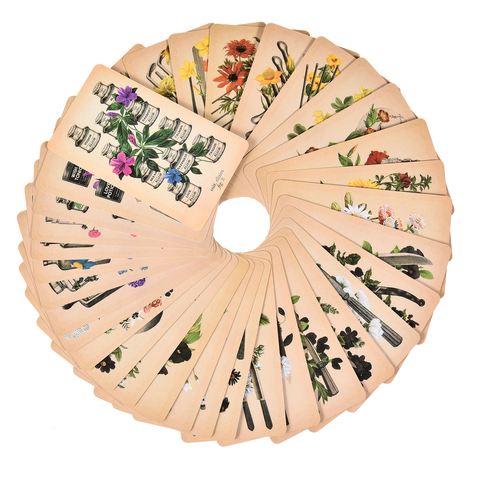앤티크 해부학 타로 카드 영어 버전 타로 덱 PDF 가 - Tarot Deck With Guidebook 리뷰 및 가격